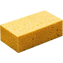 SPUŽVA ZA PRANJE | Pinel Krk