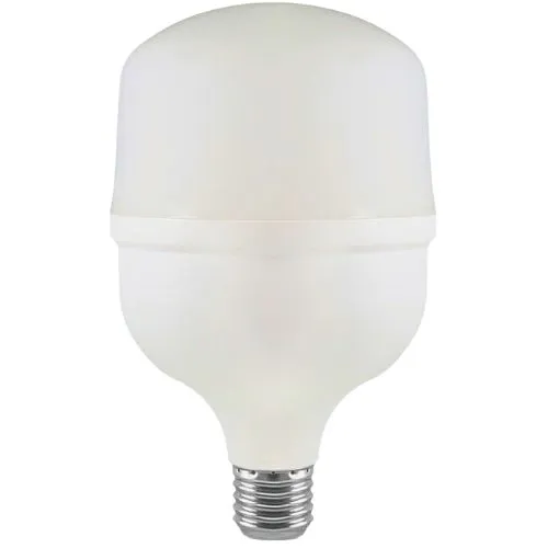 ŽARULJA LED 30W E27 T100 6500K