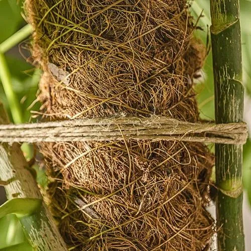 ŠPAGA KLUPKO 2.5/2 100G