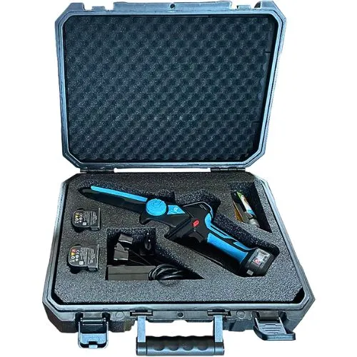 CAMPAGNOLA AKU PILA FURY XM (2 aku)