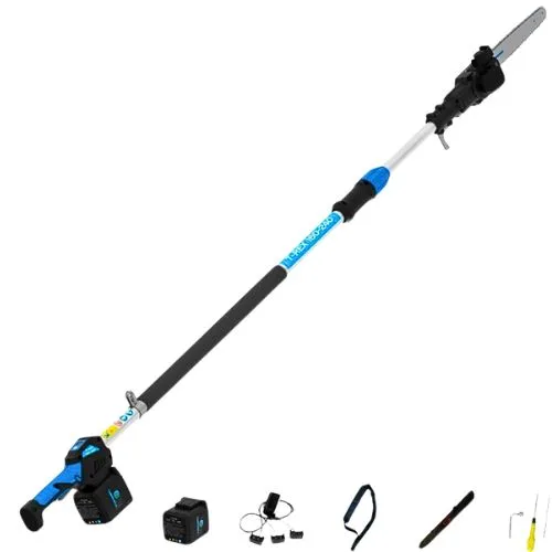 CAMPAGNOLA AKU PILA T-REX 250-300 (1 aku 5ah)