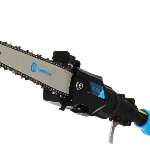 CAMPAGNOLA AKU PILA T-REX 250-300 (1 aku 5ah)