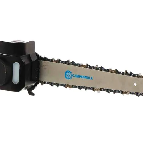 CAMPAGNOLA AKU PILA T-REX 250-300 (1 aku 5ah)