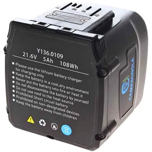 CAMPAGNOLA AKU PILA T-REX 250-300 (1 aku 5ah)