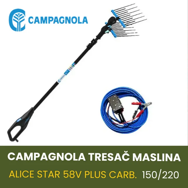 CAMPAGNOLA TRESAČ MASLINA ALICE STAR 58V PLUS CARB.150/220