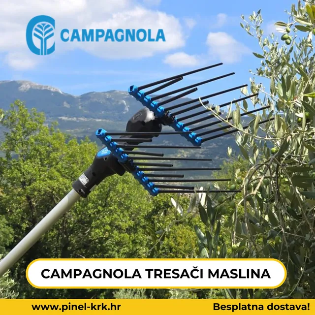 CAMPAGNOLA TRESAČ MASLINA ALICE STAR 58V PLUS CARB.185/270