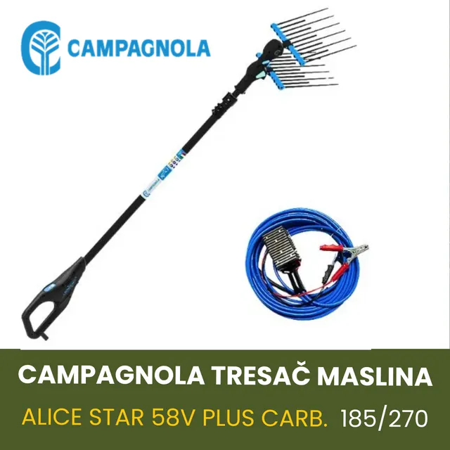 CAMPAGNOLA TRESAČ MASLINA ALICE STAR 58V PLUS CARB.185/270