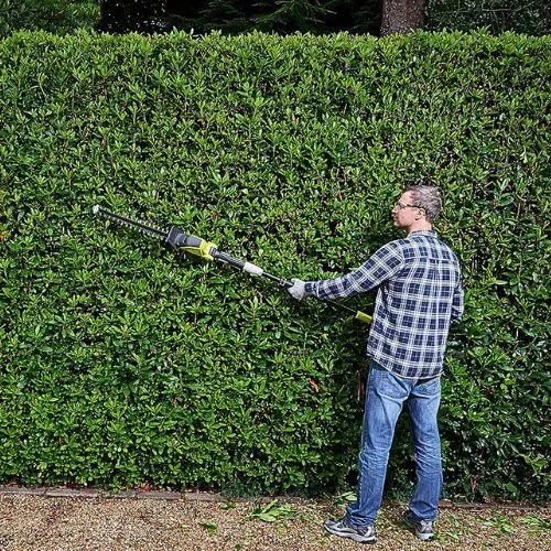 RYOBI OPT1845 AKU TELESKOPSKE ŠKARE ZA ŽIVICU (ONE+,18V,2,9M)